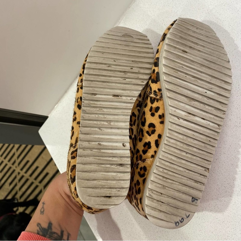 Jeffery Campbell Animal Print Sneaker Trainer Shoes sz 6 - Picture 8 of 8